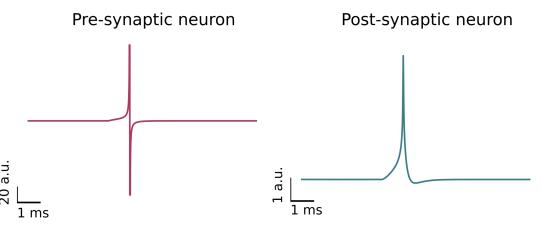 A figure from The role of gap junctions and clustered connectivity in emergent synchronisation patterns of inhibitory neuronal networks