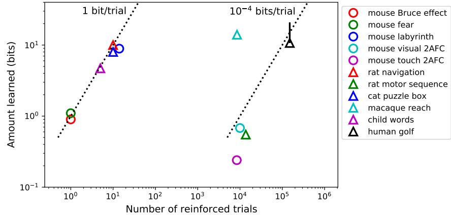 A figure from Learning, fast and slow