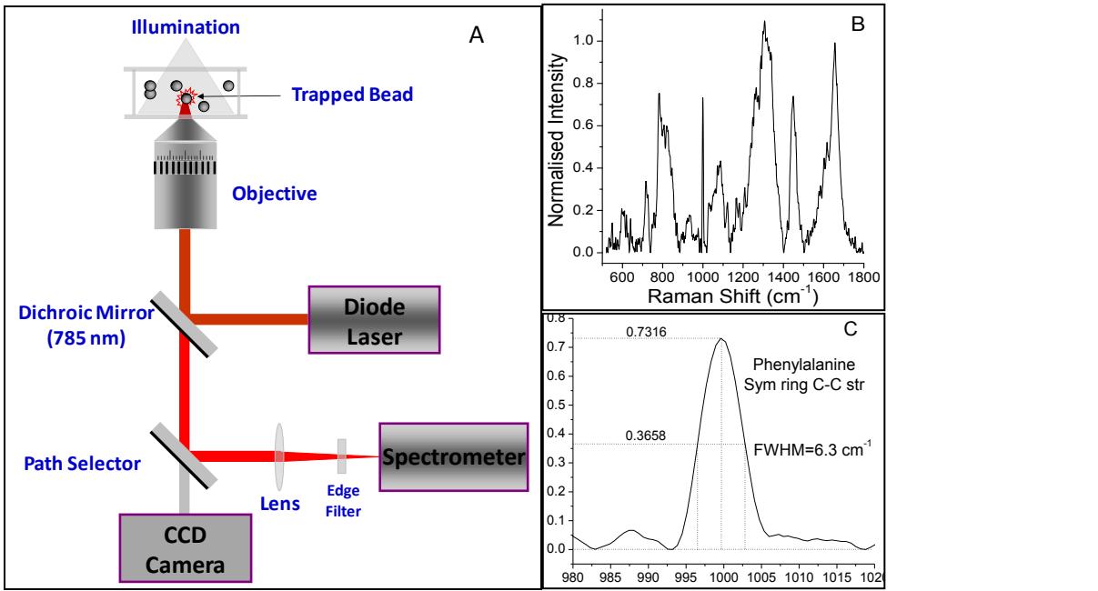 A figure from Raman spectroscopic detection of rapid, reversible, early-stage inflammatory cytokine-induced apoptosis of adult hippocampal progenitors/stem cells