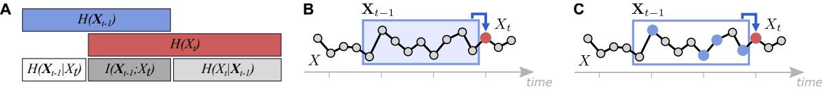 A figure from Quantifying the Predictability of Visual Scanpaths Using Active Information Storage