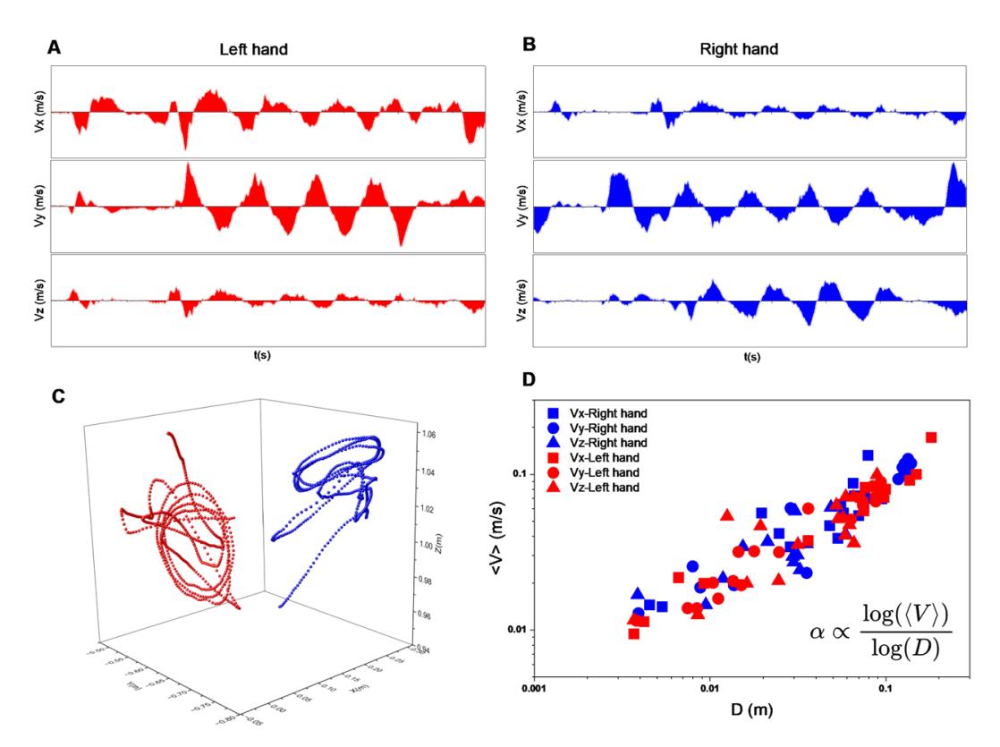 A figure from Emergent togetherness in collaborative dance improvisation: neural and motor synchronization reveal a coupling-decoupling paradox