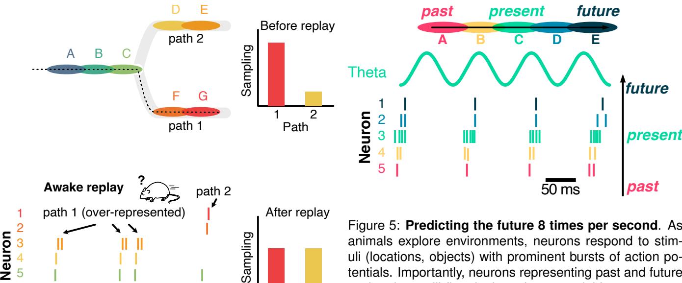 A figure from The brain as a blueprint: a survey of brain-inspired approaches to learning in artificial intelligence