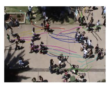 A figure from Life-cycle Modeling and the Walking Behavior of the Pedestrian-Group as an Emergent Agent: With Empirical Data on the Cohesion of the Group Formation