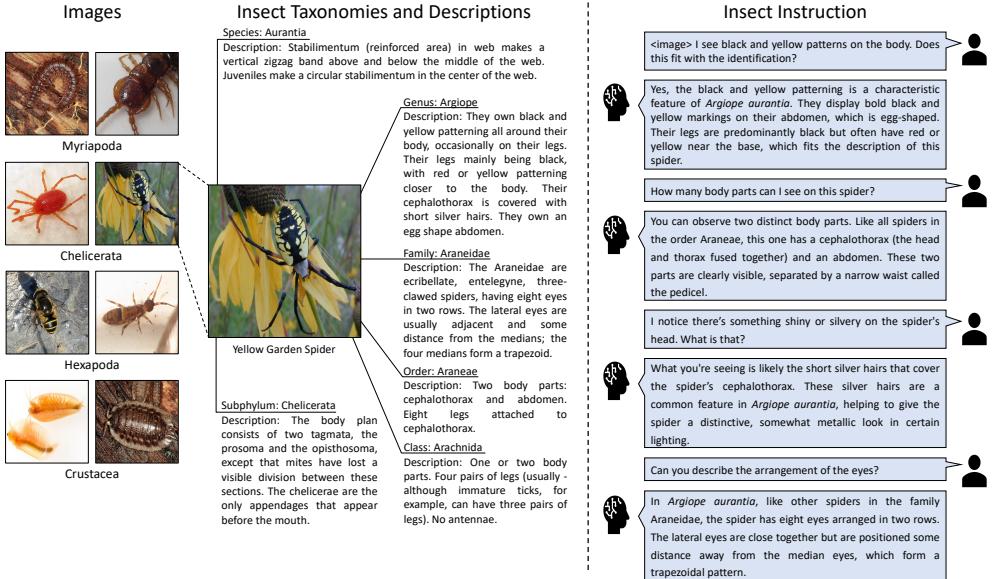 A figure from Insect-Foundation: A Foundation Model and Large Multimodal Dataset for Vision-Language Insect Understanding