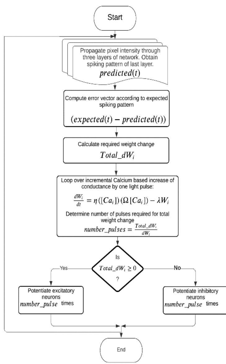 A figure from Design and development of opto-neural processors for simulation of neural networks trained in image detection for potential implementation in hybrid robotics