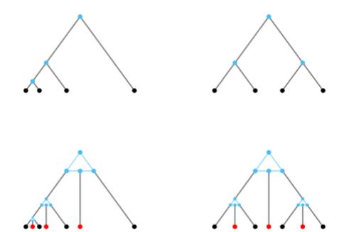 A figure from Combinatorial comparison of general galled trees, time-consistent galled trees, and simplex time-consistent galled trees