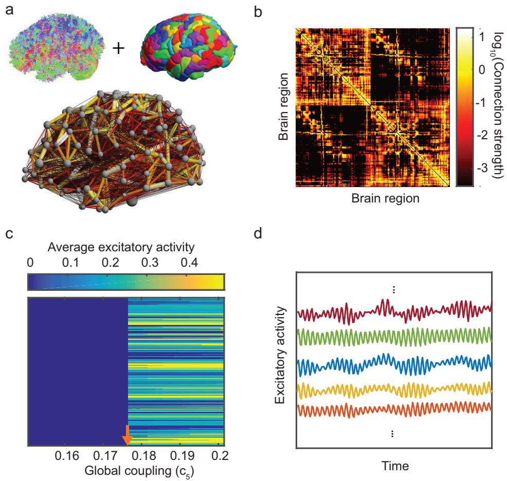 A figure from Data-driven brain network models differentiate variability across language tasks