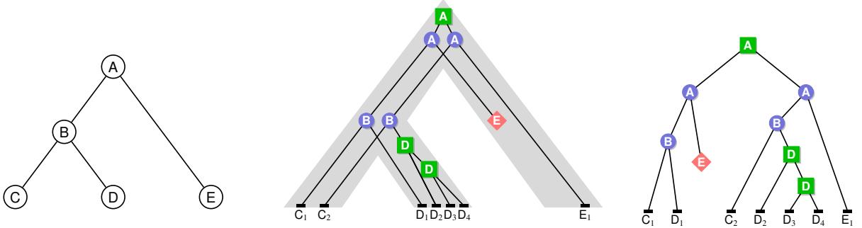 A figure from Counting and sampling gene family evolutionary histories in the duplication-loss and duplication-loss-transfer models