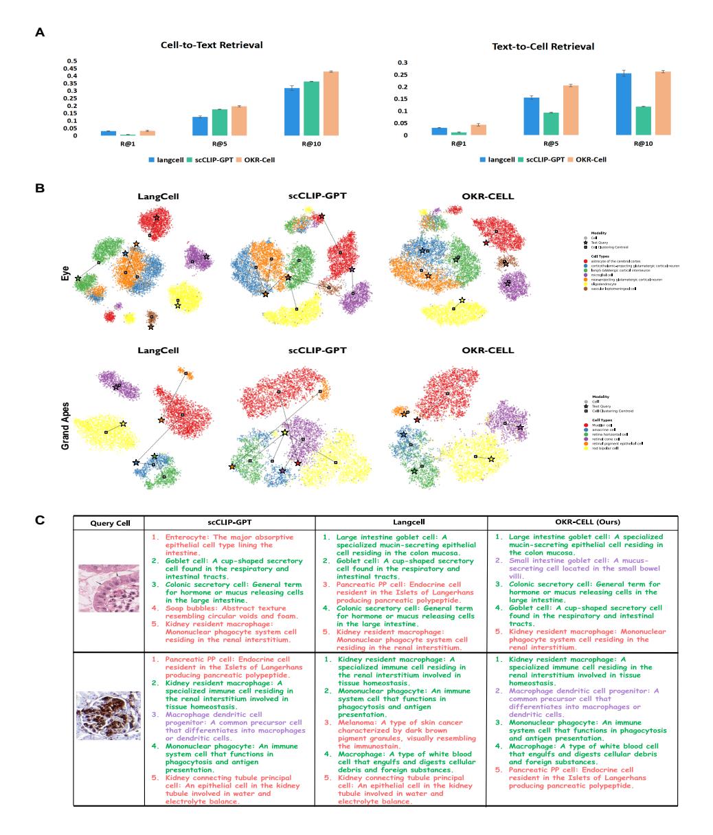 A figure from Open World Knowledge Aided Single-Cell Foundation Model with Robust Cross-Modal Cell-Language Pre-training