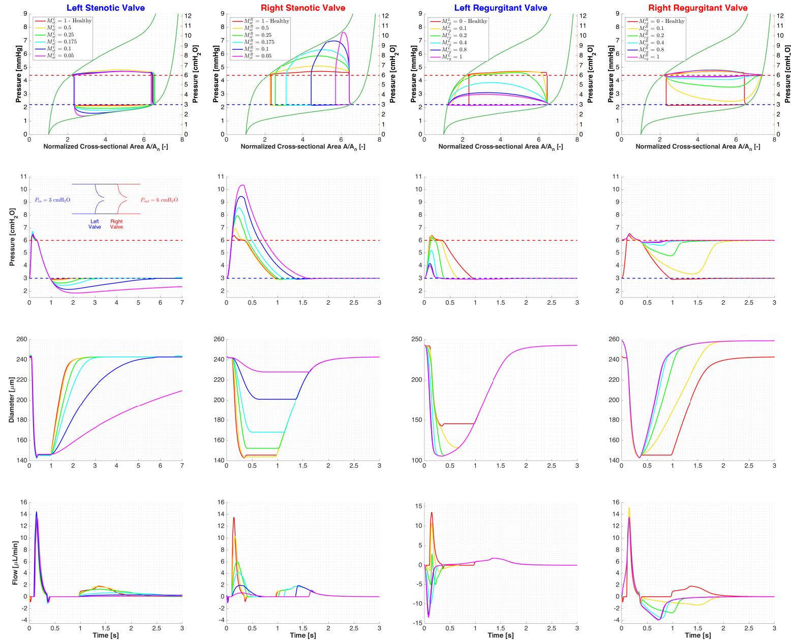 A figure from A one-dimensional mathematical model of collecting lymphatics coupled with an electro-fluid-mechanical contraction model and valve dynamics