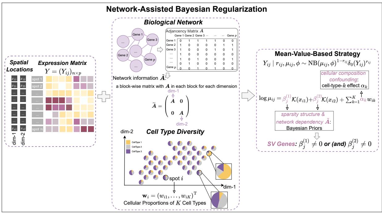 A figure from Joint identification of spatially variable genes via a network-assisted Bayesian regularization approach