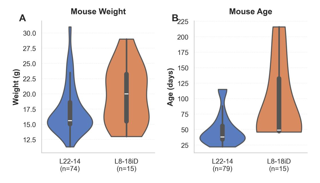 A figure from ULMShare: A Large-Scale In Vivo Ultrasound Localization Microscopy Dataset for Microvascular Imaging