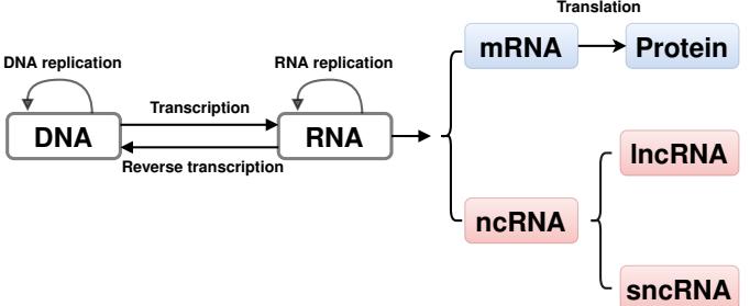 A figure from BASiNETEntropy: an alignment-free method for classification of biological sequences through complex networks and entropy maximization