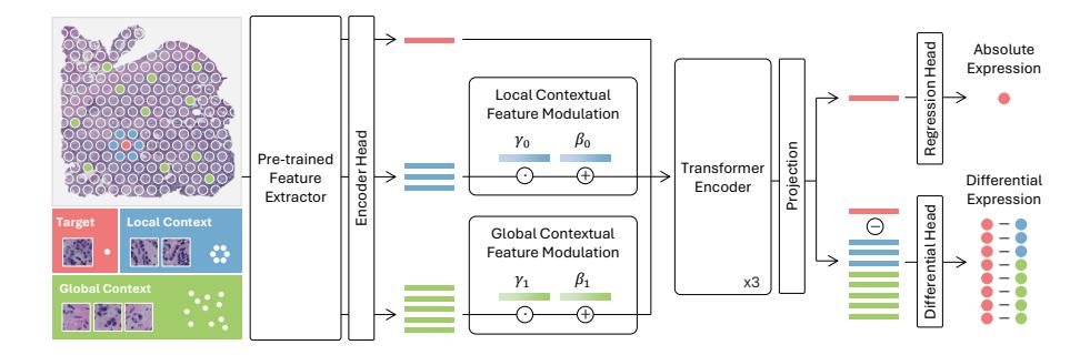 A figure from COAST: Context-Aware Differential Learning for Gene Expression Prediction in Spatial Transcriptomics