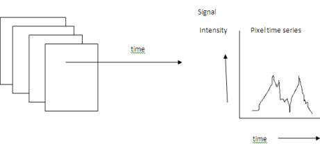 A figure from Applications of fMRI for Brain Mapping