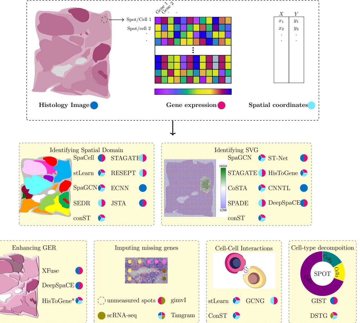 A figure from Deep Learning in Spatially Resolved Transcriptomics: A Comprehensive Technical View