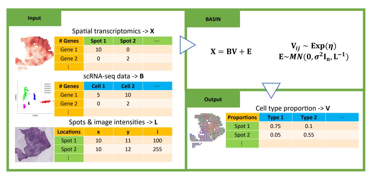 A figure from BASIN: Bayesian mAtrix variate normal model with Spatial and sparsIty priors in Non-negative deconvolution