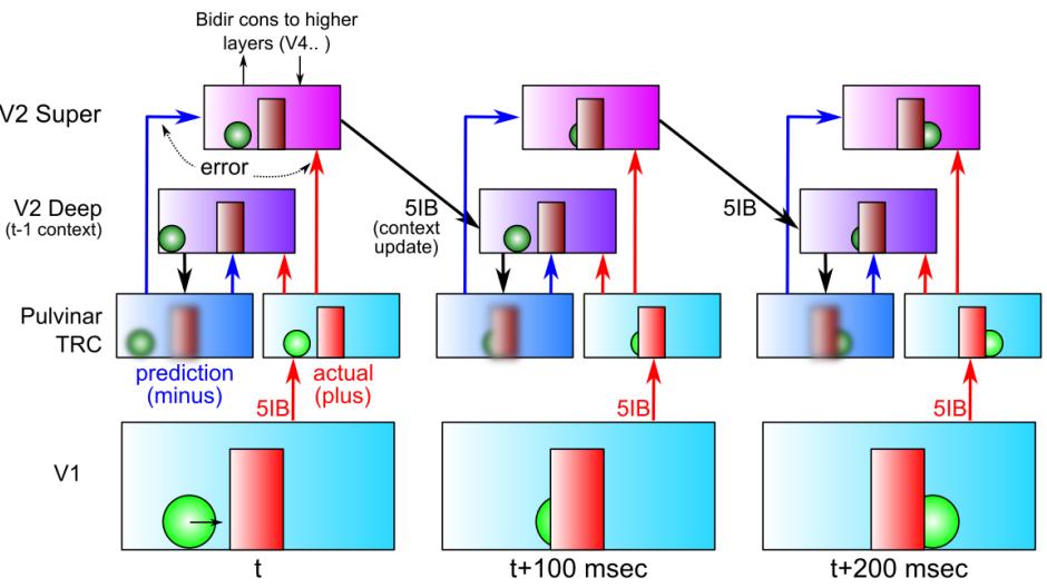 A figure from Deep Predictive Learning: A Comprehensive Model of Three Visual Streams
