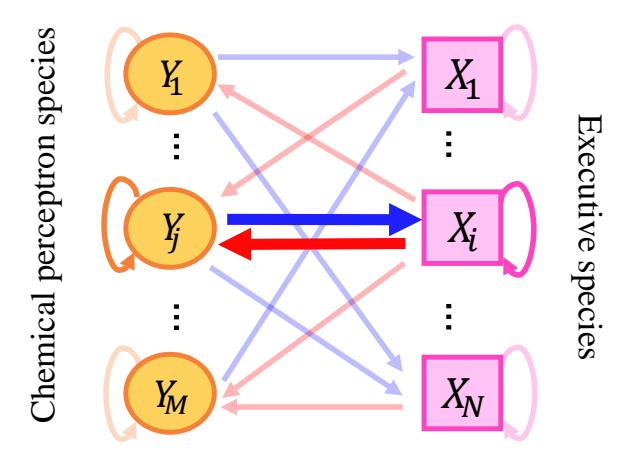 A figure from Recurrent neural chemical reaction networks trained to switch dynamical behaviours through learned bifurcations