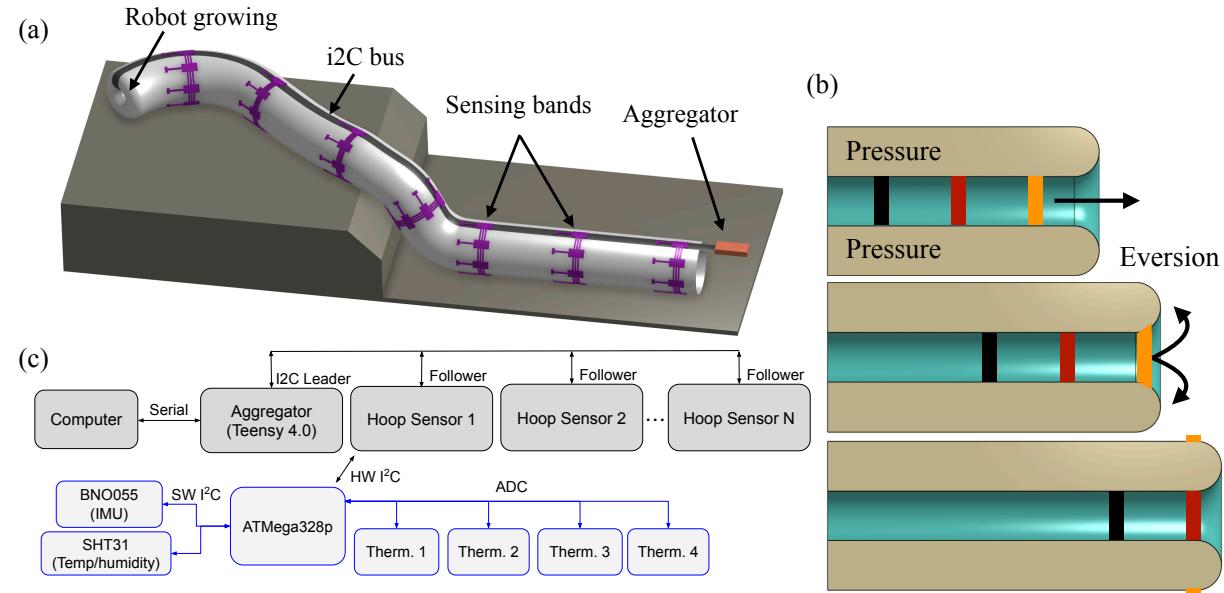 A figure from Distributed Sensor Networks Deployed Using Soft Growing Robots