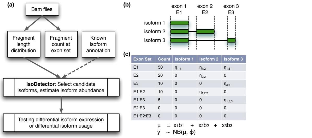 A figure from IsoDOT Detects Differential RNA-Isoform Expression/Usage With Respect to a Categorical or Continuous Covariate With High Sensitivity and Specificity