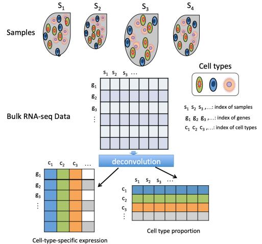 A figure from Geometric structure guided model and algorithms for complete deconvolution of gene expression data