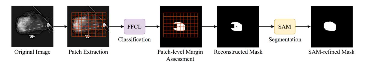 A figure from Detection of Breast Cancer Lumpectomy Margin with SAM-incorporated Forward-Forward Contrastive Learning