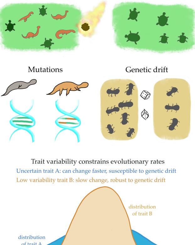 A figure from Evolutionary rate limits on biological traits
