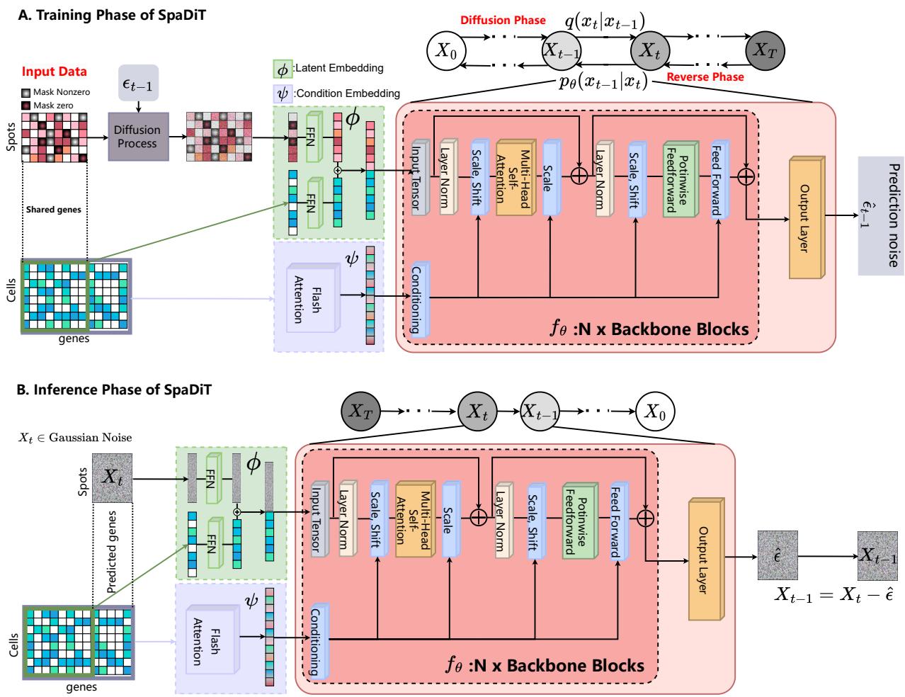 A figure from SpaDiT: Diffusion Transformer for Spatial Gene Expression Prediction using scRNA-seq