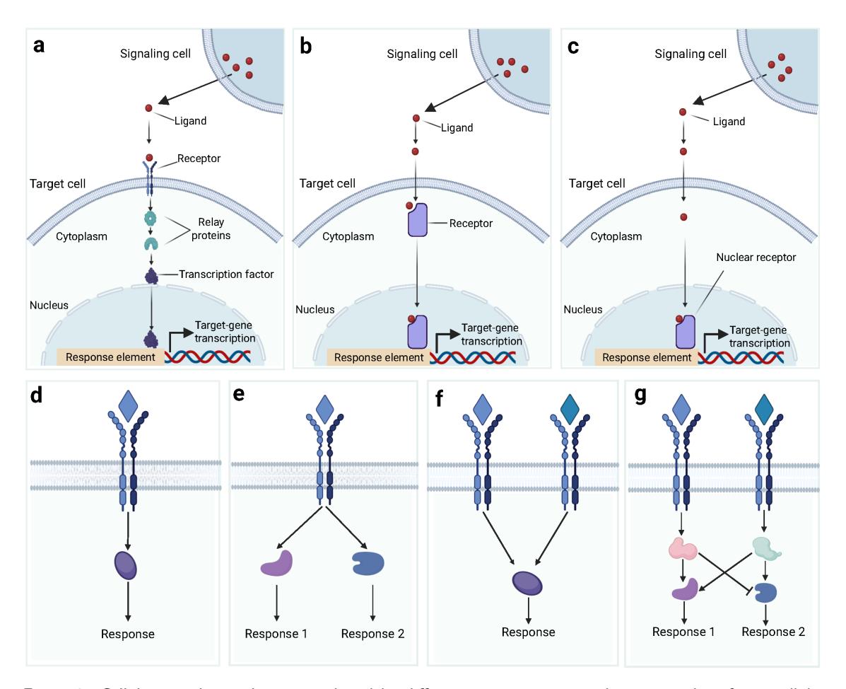 A figure from Cell-cell Communication Inference and Analysis: Biological Mechanisms, Computational Approaches, and Future Opportunities