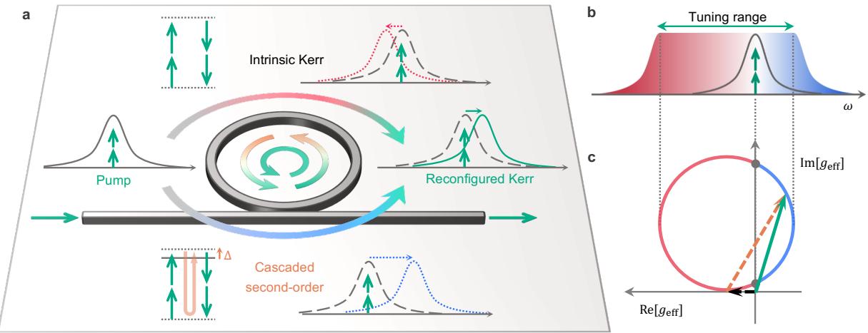A figure from Control spontaneous symmetry breaking of photonic chirality with reconfigurable anomalous nonlinearity