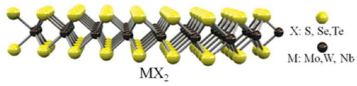 A figure from Thermal and Photo Sensing Capabilities of Mono- and Few-Layer Thick Transition Metal Dichalcogenides