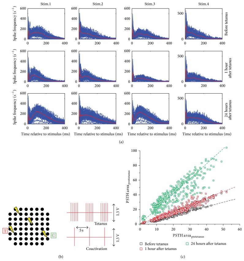 A figure from <i> In Vitro </i> Studies of Neuronal Networks and Synaptic Plasticity in Invertebrates and in Mammals Using Multielectrode Arrays