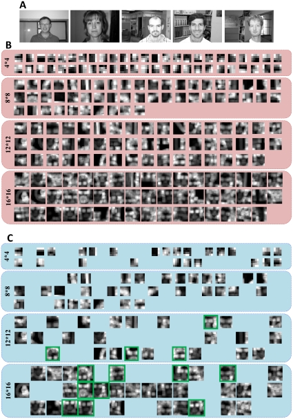 A figure from How Can Selection of Biologically Inspired Features Improve the Performance of a Robust Object Recognition Model? Impact of Optimized Feature in Object Recognition
