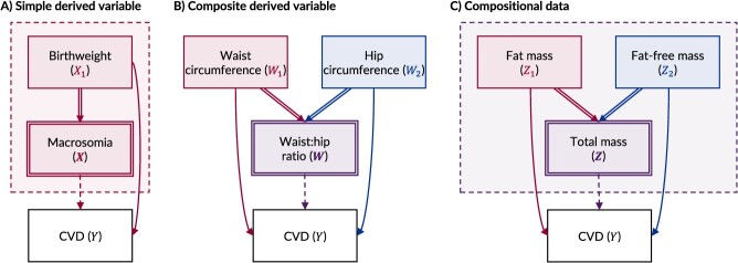 A figure from Depicting deterministic variables within directed acyclic graphs: an aid for identifying and interpreting causal effects involving derived variables and compositional data