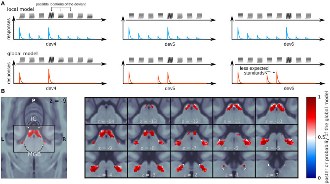 A figure from Adjudicating Between Local and Global Architectures of Predictive Processing in the Subcortical Auditory Pathway