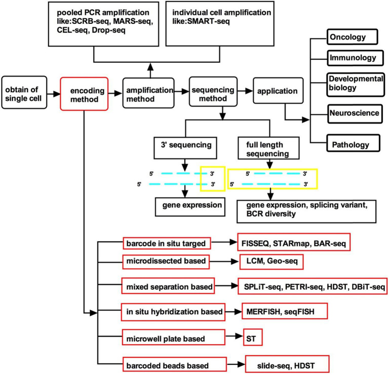 A figure from Encoding Method of Single-cell Spatial Transcriptomics Sequencing