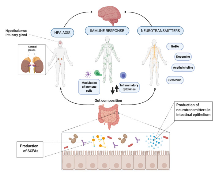A figure from Psychobiotics: Mechanisms of Action, Evaluation Methods and Effectiveness in Applications with Food Products