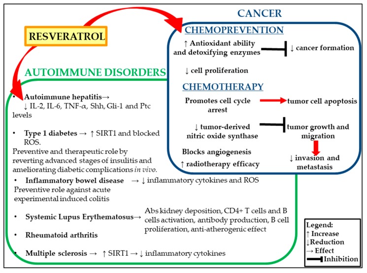 A figure from Insights on the Effects of Resveratrol and Some of Its Derivatives in Cancer and Autoimmunity: A Molecule with a Dual Activity