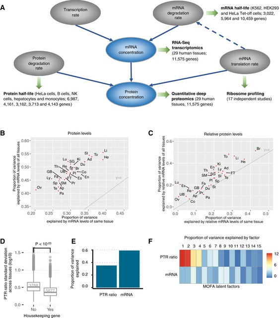 A figure from Quantification and discovery of sequence determinants of protein‐per‐mRNA amount in 29 human tissues Basak Eraslan <i> et al </i>