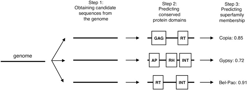 A figure from A machine learning based framework to identify and classify long terminal repeat retrotransposons A machine learning based framework to identify and classify LTR retrotransposons