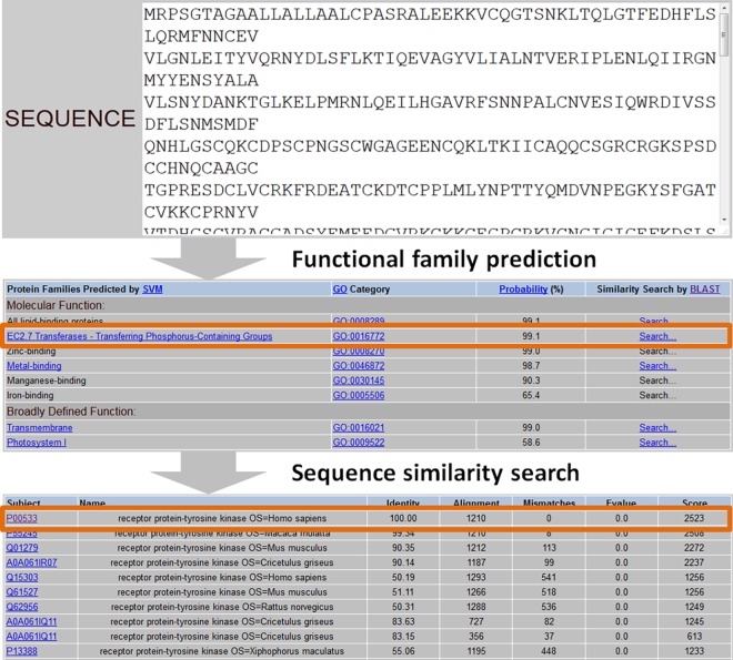 A figure from SVM-Prot 2016: A Web-Server for Machine Learning Prediction of Protein Functional Families from Sequence Irrespective of Similarity SVM-Prot Update: A Web-Server for Protein Function Prediction Irrespective of Sequence Similarity