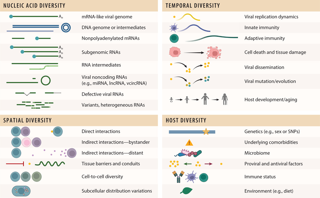 A figure from Spatial Transcriptomics to Study Virus-Host Interactions