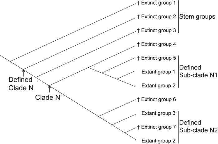 A figure from Fossil record of stem groups employed in evaluating the chronogram of insects (Arthropoda: Hexapoda)