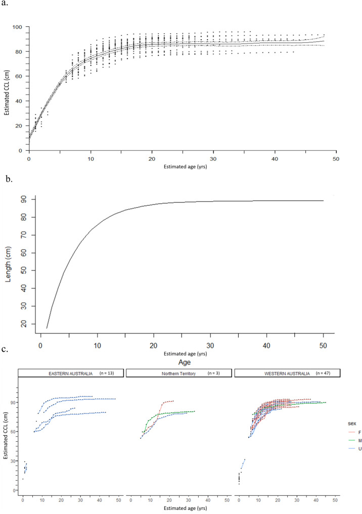 A figure from Age-specific growth and maturity estimates for the flatback sea turtle ( <i> Natator depressus </i> ) by skeletochronology Aging flatback sea turtles