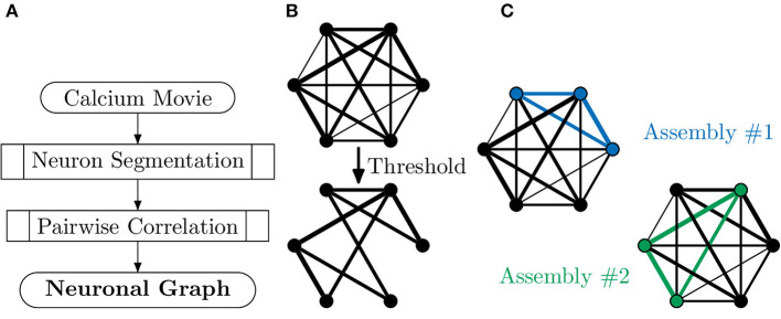 A figure from Neuronal Graphs: A Graph Theory Primer for Microscopic, Functional Networks of Neurons Recorded by Calcium Imaging