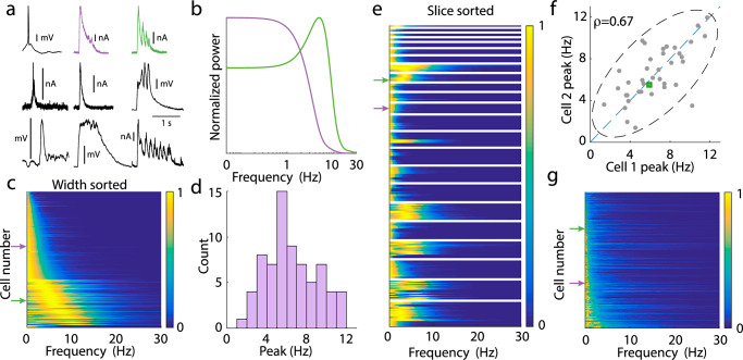 A figure from Interleaving asynchronous and synchronous activity in balanced cortical networks with short term synaptic depression