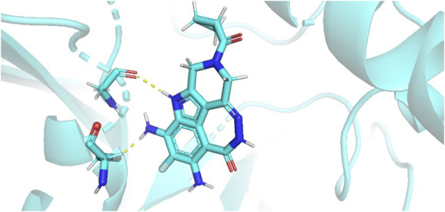 A figure from Study of PARP inhibitors for breast cancer based on enhanced multiple kernel function SVR with PSO Xue et al. 10.3389/fphar.2024.1257253