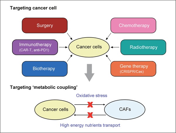 A figure from The reverse Warburg effect is likely to be an Achilles' heel of cancer that can be exploited for cancer therapy
