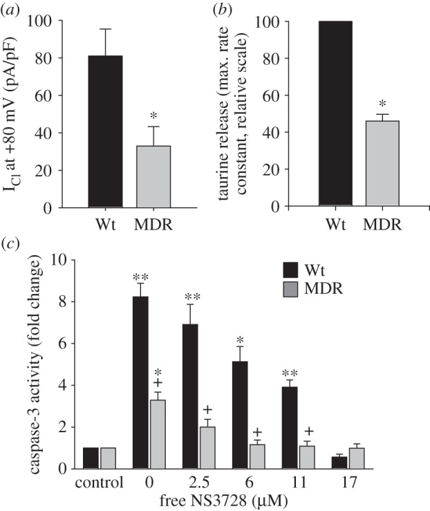 A figure from Ion channels and transporters in the development of drug resistance in cancer cells Ion transporters in drug resistance